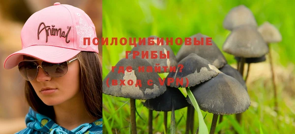 стафф Богородицк