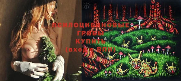 СК Богородск