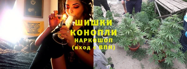 стафф Богородицк